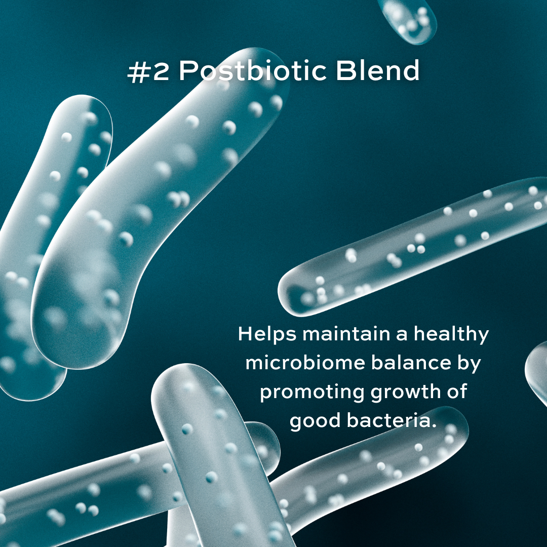 Complete Enjoy V Private Kit